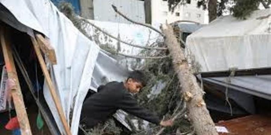 المنخفض الجوي يفاقم معاناة النازحين في قطاع غزة - عرب فايف