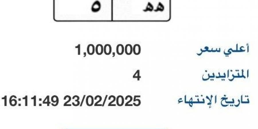 بوابة مرور مصر الإلكترونية تطرح لوحة سيارة بمليون جنية - عرب فايف