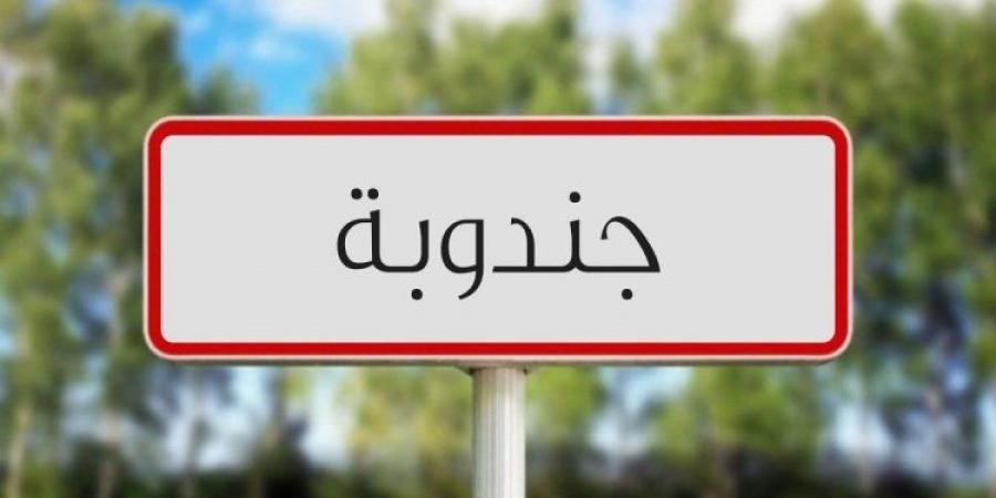 جندوبة : مساعٍ لاستكمال مشاريع تدعم الخارطة الصحية وتُحسن من الخدمات "المدير الجهوي للصحة" - عرب فايف