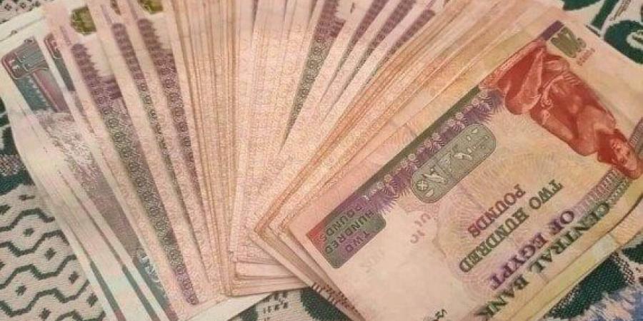 البنك الأهلي المصري يغزو القطاع المصرفي بشهادات ادخار الـ27% - عرب فايف