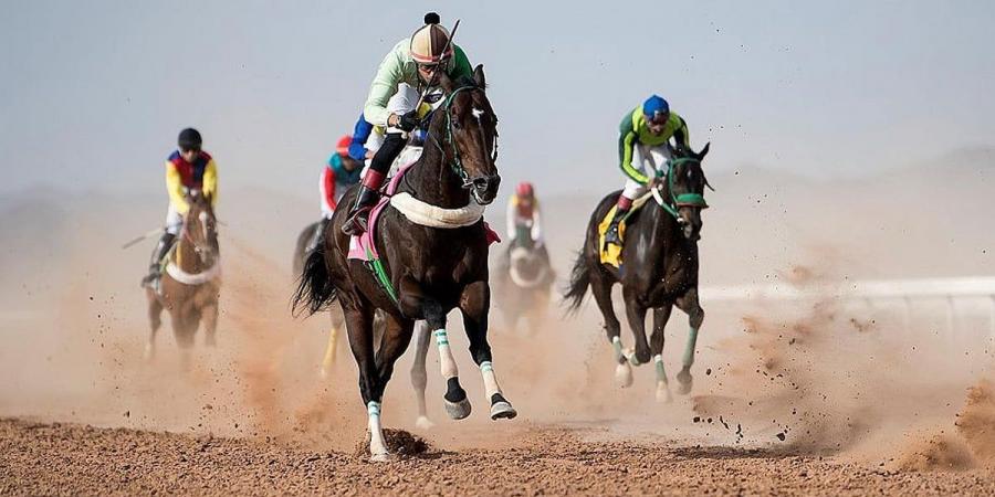 ميدان سباقات الخيل بنجران يُنظم اليوم حفل سباقه العاشر الختامي للموسم الحالي - عرب فايف