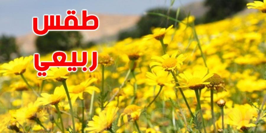 تونس تعيش أجواء ربيعية اليوم - عرب فايف