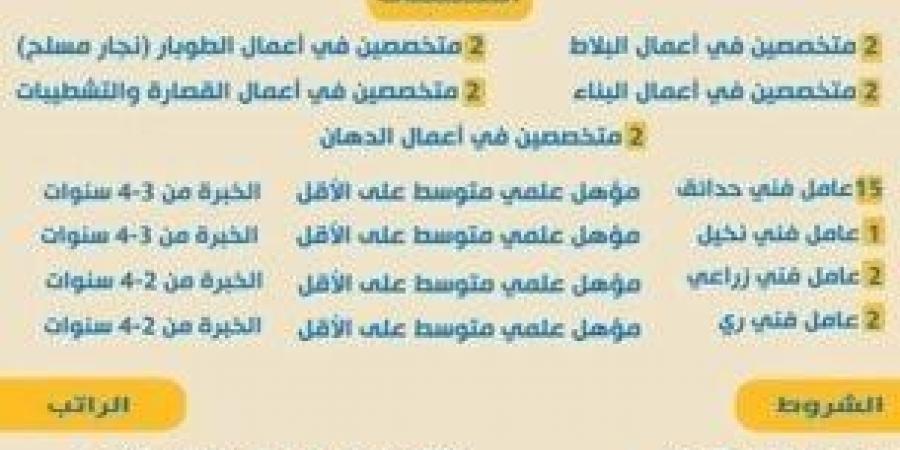 راتب يصل 390 دينار شهريًا.. وزارة العمل تعلن عن وظائف للكوادر المصرية بالأردن - عرب فايف