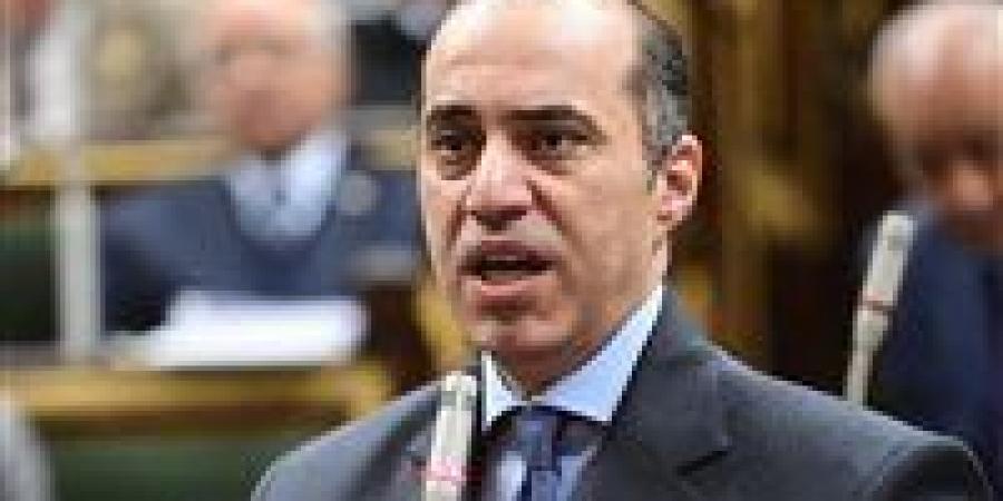 الوزير محمود فوزي يشكر مستقل وطن: لدينا أغلبية نيابية تساند الدولة لكنها تبدي الملاحظات الموضوعية في التشريع والرقابة.. والحكومة تحترم حرية الرأي والتعبير - عرب فايف
