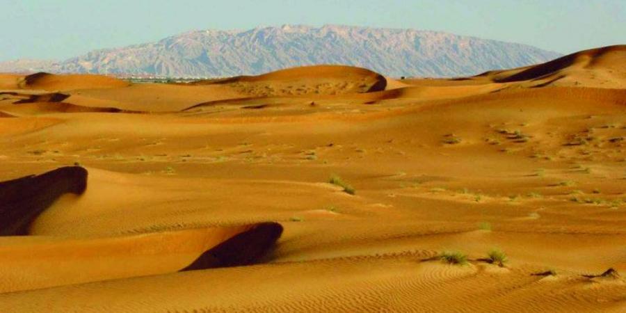 صبحة الخييلي: البادية علمتنا السعادة والرضا بأقل الأشياء - عرب فايف