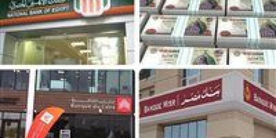 الشهادة البنكية وعاء ادخاري لفئات مُحددة.. تعرف عليها - عرب فايف