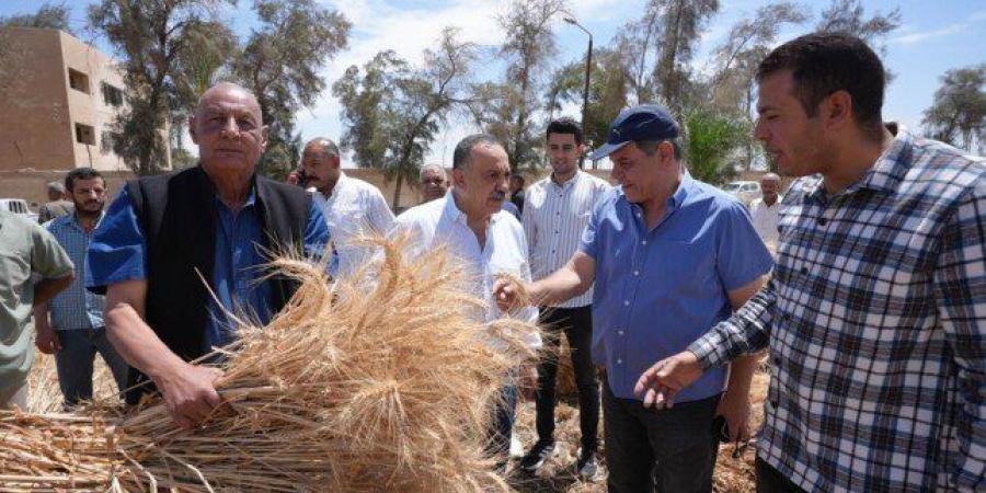محافظ أسيوط يشارك العمال فرحتهم ويتفقد حصاد 40 فدان قمح - عرب فايف
