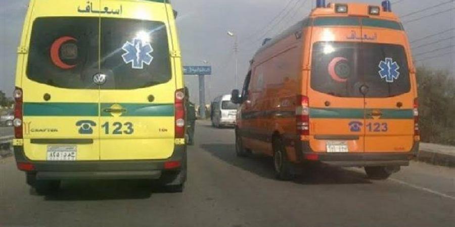 مصرع طفلة صدمتها سيارة مسرعة في العياط.. والنيابة تستعجل التحريات - عرب فايف