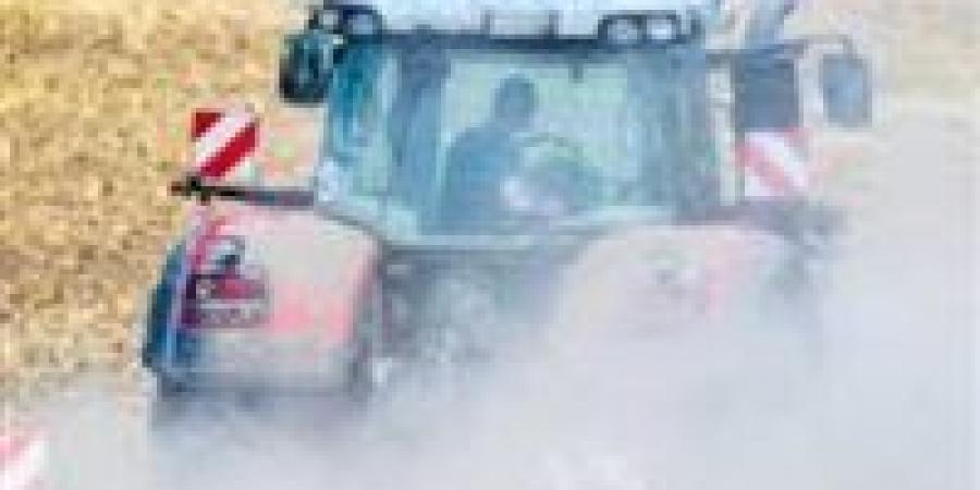 جرار يتسبب في مصرع وإصابة 5 أطفال بالفرافرة.. أسماء - عرب فايف