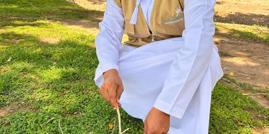 القضاء على أكثر من 155 ألف طائر غازٍ في ظفار لحماية التوازن البيئي - عرب فايف