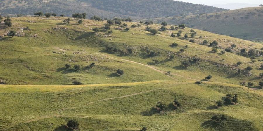 أجواء ربيعية لطيفة نهار الجمعة وباردة ليلاً - عرب فايف