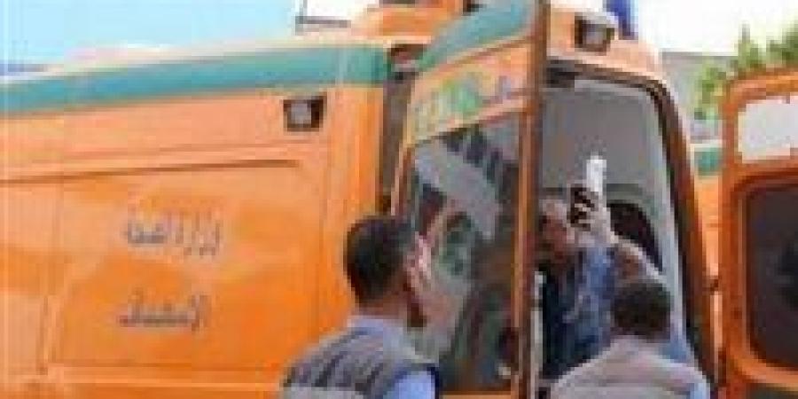 الداخلية تستجيب لاستغاثة مواطن وتُنقل والدته غير القادرة على الحركة إلى المستشفى في الشرابية - عرب فايف