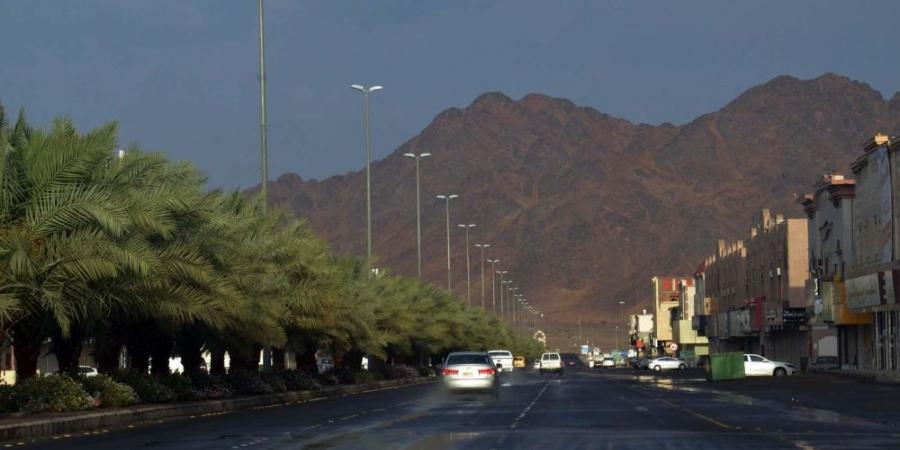 هطول أمطار في 7 مناطق.. والباحة تسجل أعلى كمية بـ 90.6 ملم - عرب فايف