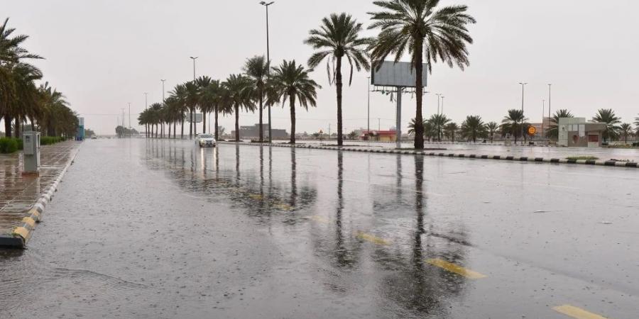 إنذار أحمر.. أمطار غزيرة ورياح شديدة على جازان والباحة - عرب فايف