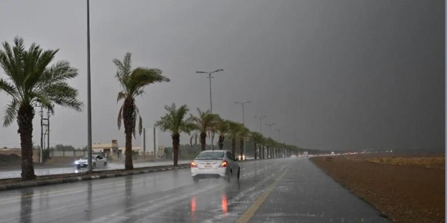 "الأرصاد": أمطار متوسطة ورياح شديدة على منطقة الباحة - عرب فايف