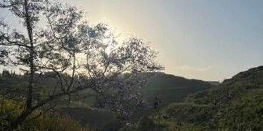 لبنان الذي لا يُدنى منه - عرب فايف