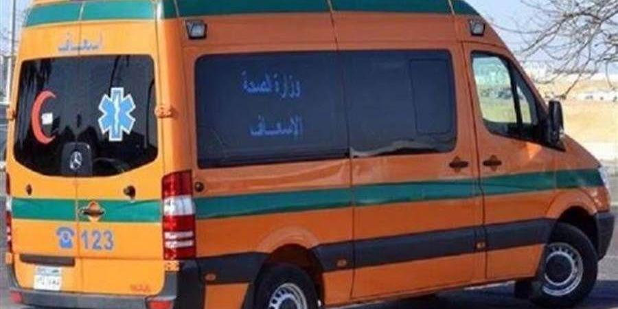 إصابة 6 أشخاص فى انقلاب ميكروباص بالشرقية - عرب فايف