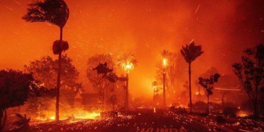على مدار 15 عامًا.. دخان حرائق الغابات يتسبب في وفاة الآلاف بالولايات المتحدة - عرب فايف