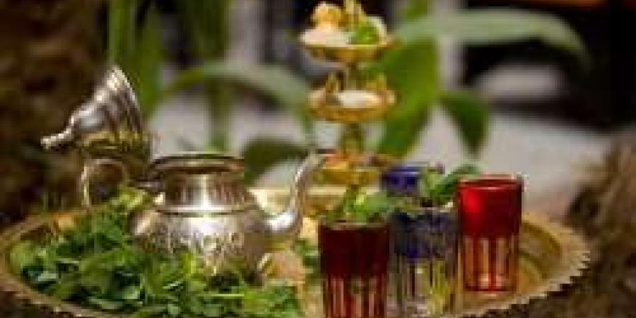بالفيديو.. شاهد فوائد صحية متعددة لتناول كوب شاي واحد في اليوم "مختص يوضحها بالتفصيل" - عرب فايف