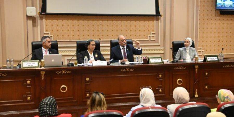 رئيس «تضامن النواب»: مصر حققت تطورا غير مسبوق بملف حقوق الإنسان - عرب فايف