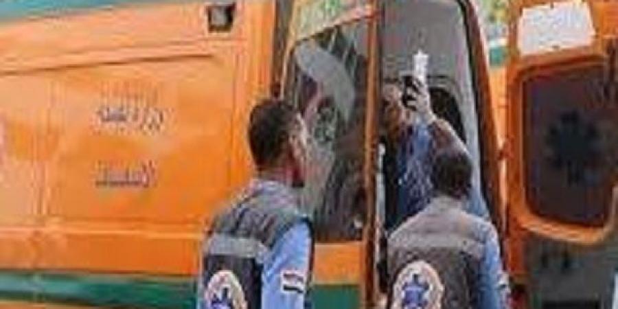 مصرع وإصابة 11 شخصا بانقلاب ميكروباص بالشرقية - عرب فايف
