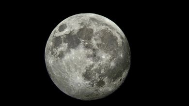 9 ظواهر فلكية تضيء سماء محمية الإمام تركي بن عبدالله الملكية هذا الشهر