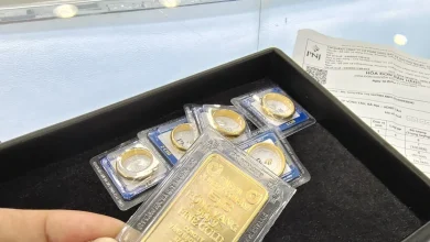 آخر مستجدات أسعار ذهب SJC والخواتم مقابل تحركات الذهب العالمية