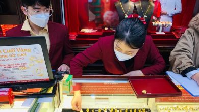 أسعار الذهب في سان خوسيه وخواتم الذهب المحلية والعالمية صباح الجمعة