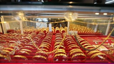 ارتفاع أسعار الذهب يشهد موجة جديدة في الأسواق العالمية