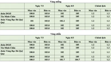 ارتفاع حاد في أسعار الذهب المحلية صباح 8 مارس لدى أبرز العلامات التجارية