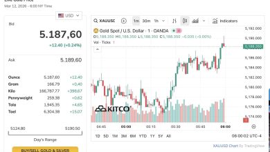 الأسعار تستقر مع استمرار مستوياتها المرتفعة وسط تقلبات ملحوظة