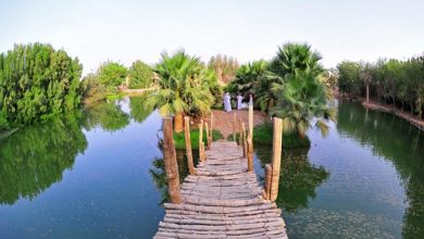 القصيم تتحول إلى وجهة سياحية متجددة مع تغير مواسم السنة