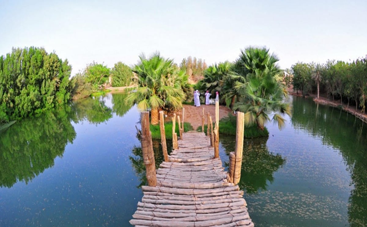 القصيم تتحول إلى وجهة سياحية متجددة مع تغير مواسم السنة