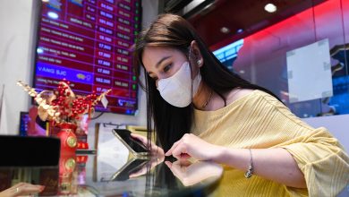 انخفاض كبير في أسعار سبائك الذهب من شركة SJC يصل إلى 1.5 مليون دونغ فيتنامي للأونصة