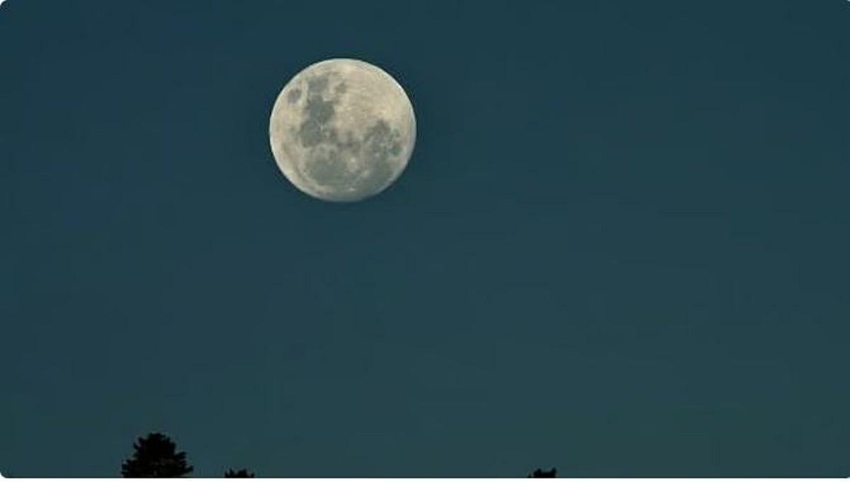 بدر رمضان يضيء سماء الوطن العربي اليوم بأداء متميز