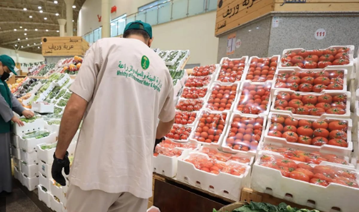 بيئة القصيم تطلق حملة رقابة الأسواق والمسالخ لضمان عيد صحي وآمن