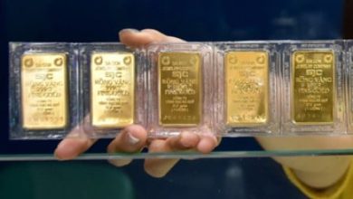 تراجع أسعار الذهب المحلية والعالمية بشكل متزامن في الأسواق العالمية والمحلية