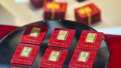 توقع تراجع حاد في أسعار سبائك الذهب من شركة SJC اليوم 6 مارس 2026 مع ثبات أسعار الذهب العامة