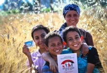 رابط الاستعلام عن معاش تكافل وكرامة بالرقم القومي 2026 عبر موقع التضامن الاجتماعي كامل التفاصيل