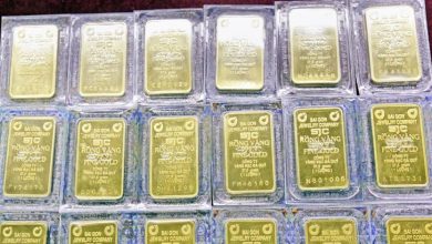 سعر الذهب في شركة SJC يرتفع 500 ألف دونغ فيتنامي مع استقرار أسعار خواتم الذهب