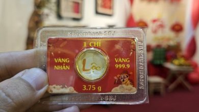 سعر سبائك وخواتم الذهب من شركة SJC يصعد إلى أعلى مستوى له خلال الأسبوع في صباح 11 مارس