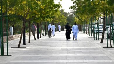 مسارات المشاة والدراجات ومبادرات أنسنة المدن ترفع جودة الحياة في المدينة المنورة