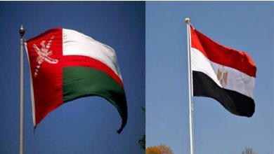 وزير خارجية مصر ونظيره العُماني يناقشان تطورات الأوضاع الإقليمية