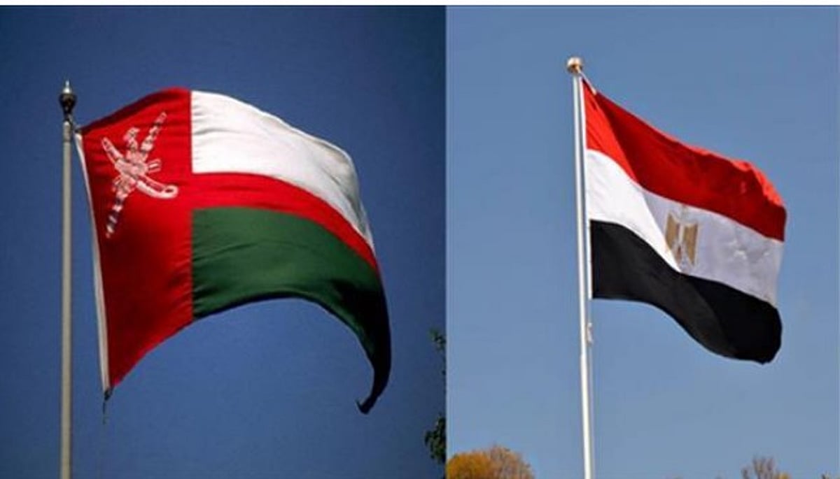وزير خارجية مصر ونظيره العُماني يناقشان تطورات الأوضاع الإقليمية